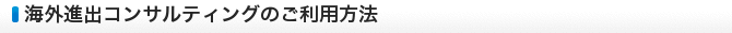 海外進出コンサルティングのご利用方法