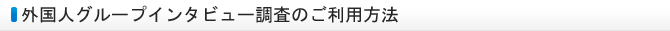 外国人グループインタビュー調査（FGI調査）のご利用方法