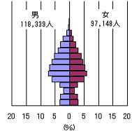 在日ブラジル人の人口ピラミッド