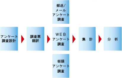 フランス語 アンケート調査フロー