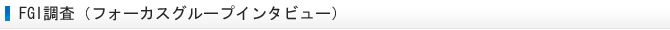 FGI調査（フォーカスグループインタビュー）